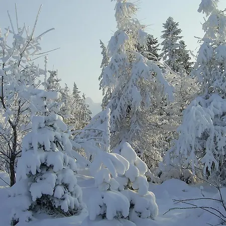 Pod Limba בית אירוח *