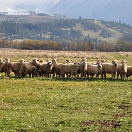 Privat bolig Pod Limba *