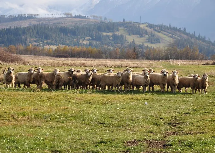 Accommodatie bij particulieren Pod Limba *